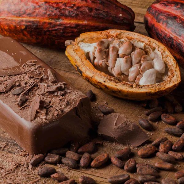 essential nutrition cacao whey 450g 2