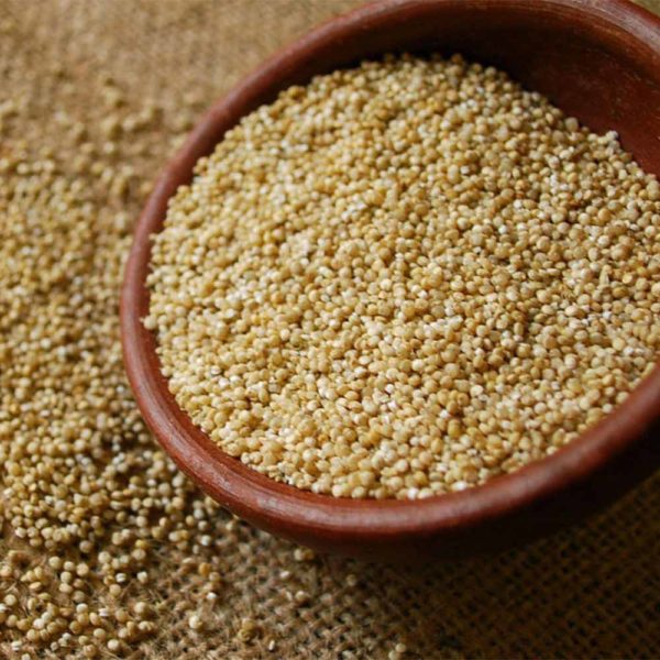 quinoa graos 2